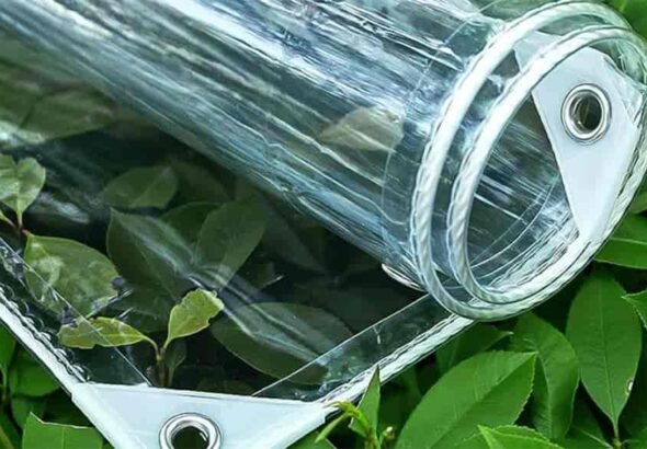 619xtYQWmsL._AC_UF8941000_QL80_ (1)