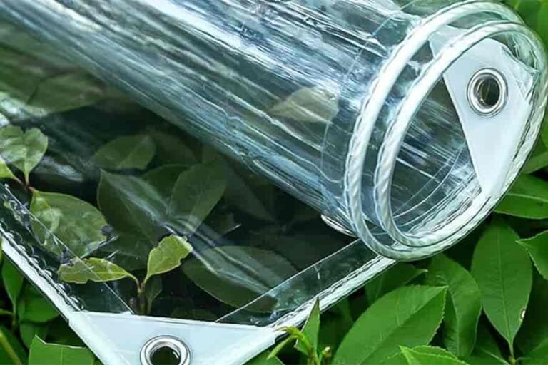 619xtYQWmsL._AC_UF8941000_QL80_ (1)