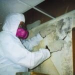 Mold-Clean-Up-When-to-Call-in-Professional-Remediators