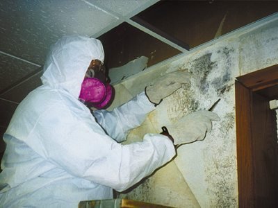 Mold-Clean-Up-When-to-Call-in-Professional-Remediators
